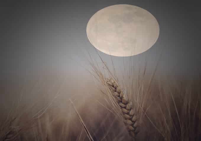 https://www.templumdianae.com/wp-content/uploads/2020/11/luna-del-grano.jpg