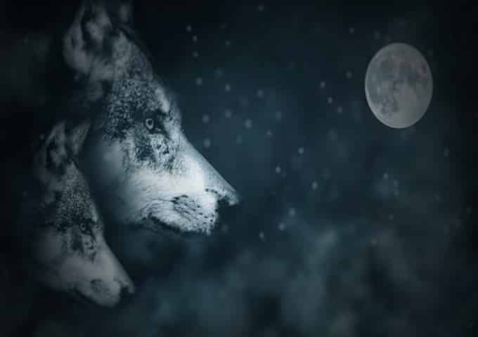 https://www.templumdianae.com/wp-content/uploads/2020/11/luna-del-lupo-002.jpg