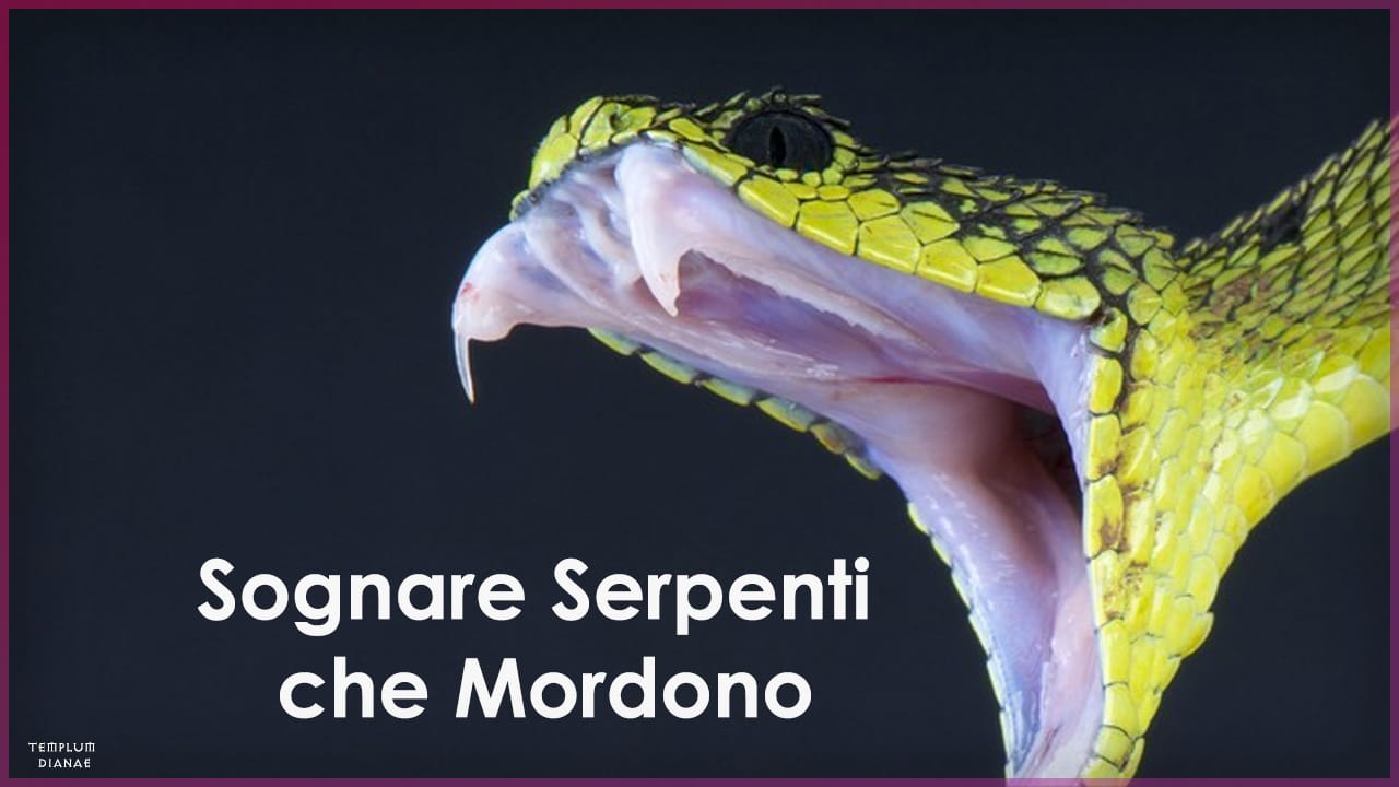 sognare serpenti che mordono