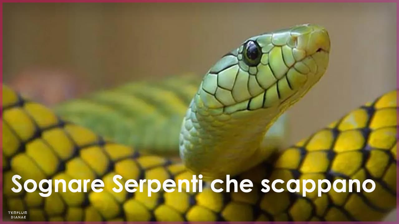 sognare serpenti che scappano