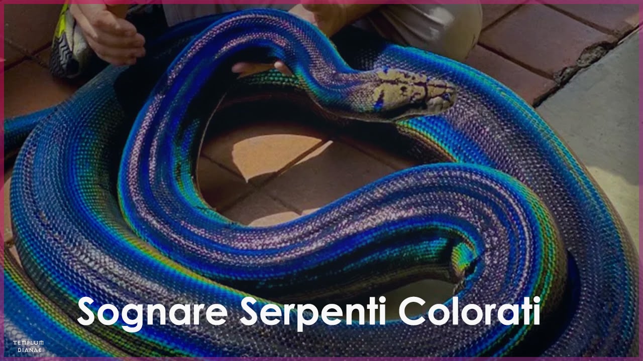 sognare serpenti colorati