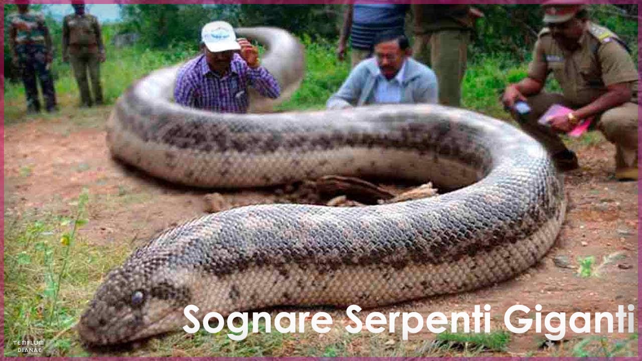 sognare serpenti giganti