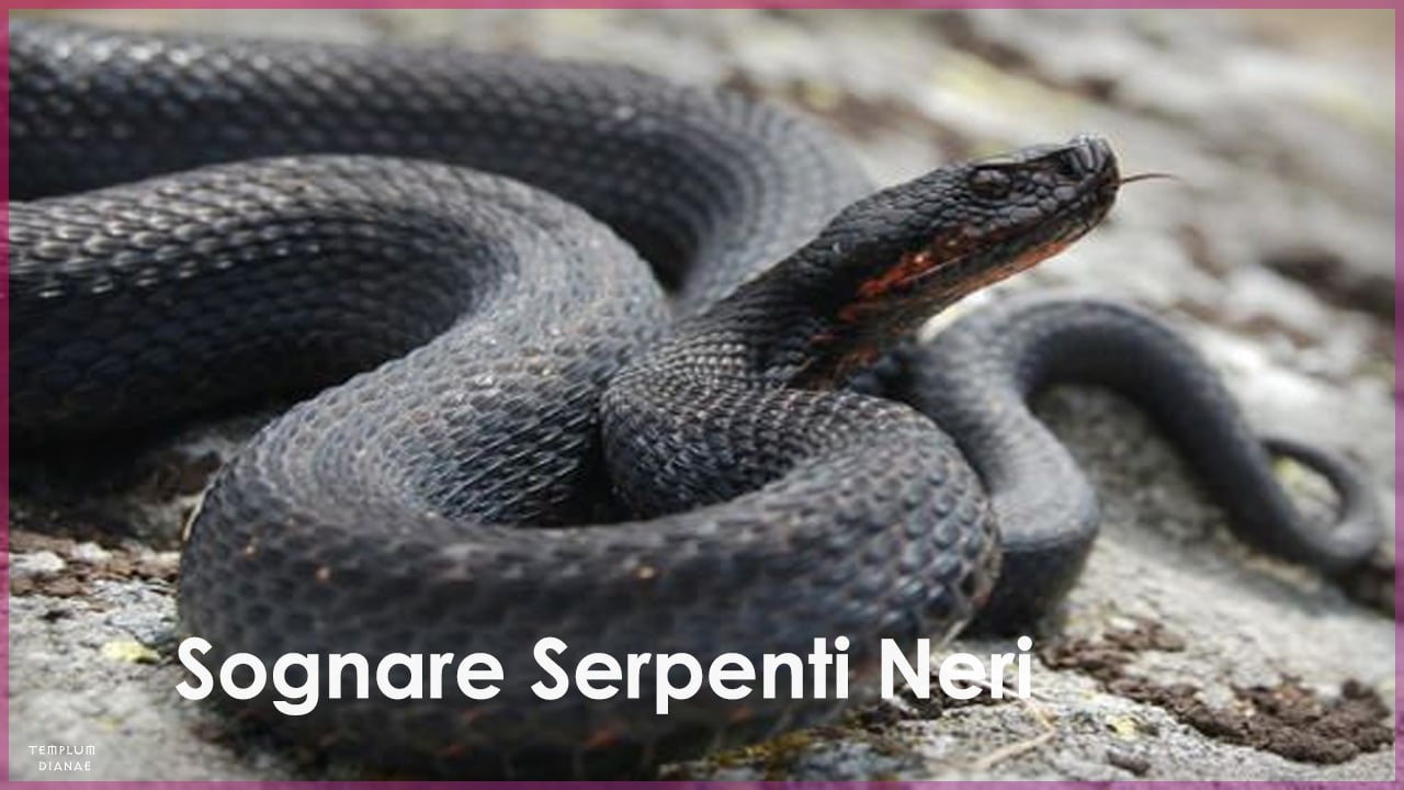 sognare serpenti neri