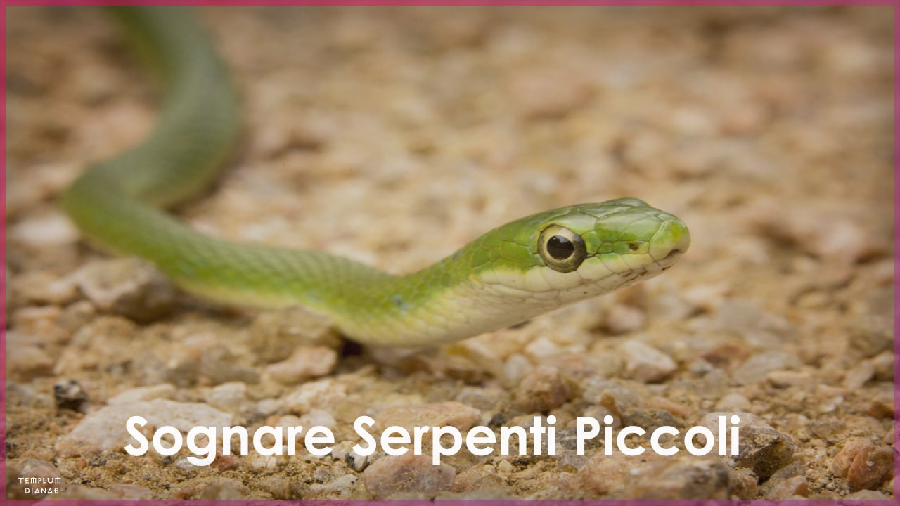 sognare serpenti piccoli