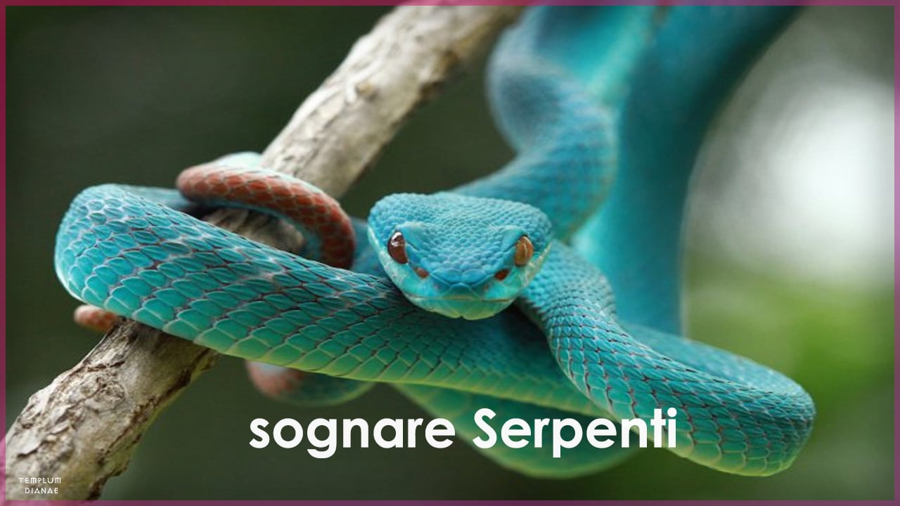 sognare serpenti