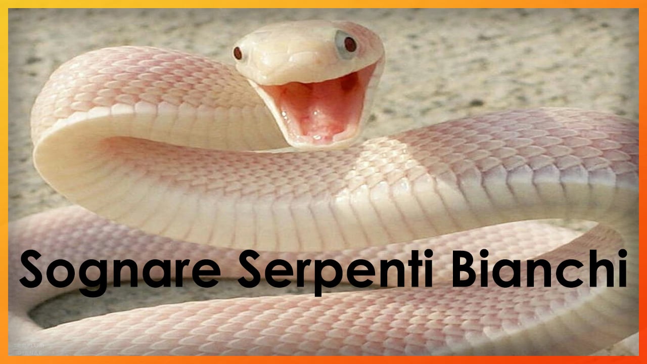 sognare serpenti bianchi