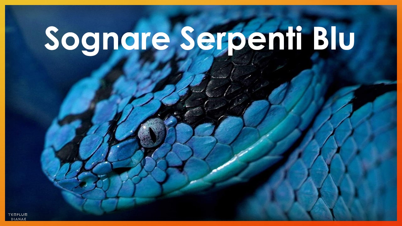 sognare serpenti blu