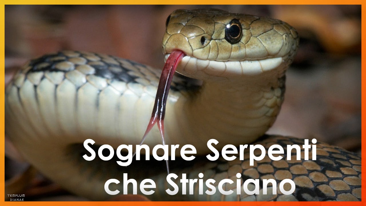 sognare serpenti che strisciano