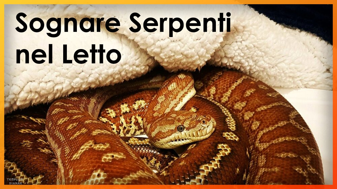 sognare serpenti nel letto