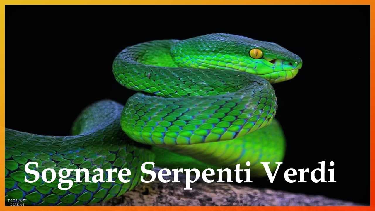 sognare serpenti verdi